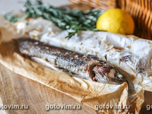 ������, ���������� � ������� ����� � ����������